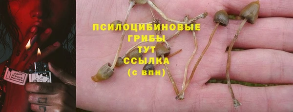 твердый Белоозёрский