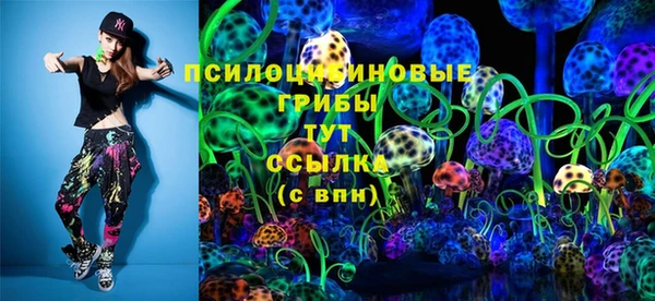 PSILOCYBIN Пестово