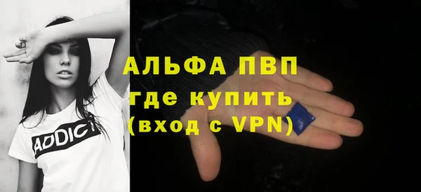 прущие грибы Баксан