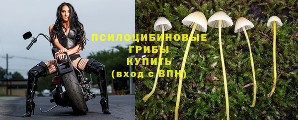 ALPHA-PVP Беломорск