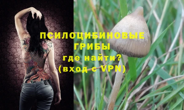 соль курить ск Арсеньев