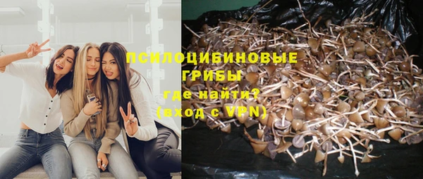 спайс Кадников
