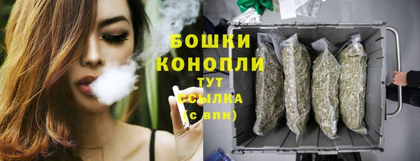прущие грибы Баксан