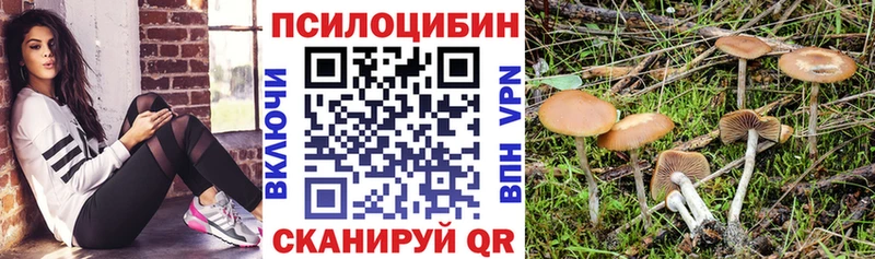 Галлюциногенные грибы Magic Shrooms  Магас 