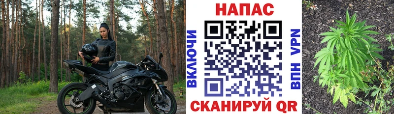 где найти МЕГА ONION Бошки марихуана VHQ Магас